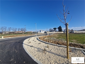terrain à la vente -   26700  PIERRELATTE, surface 646 m2 vente terrain - APR663524